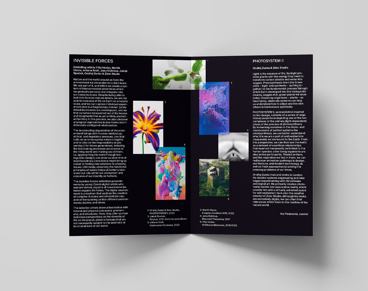 invisible exhibition poster open