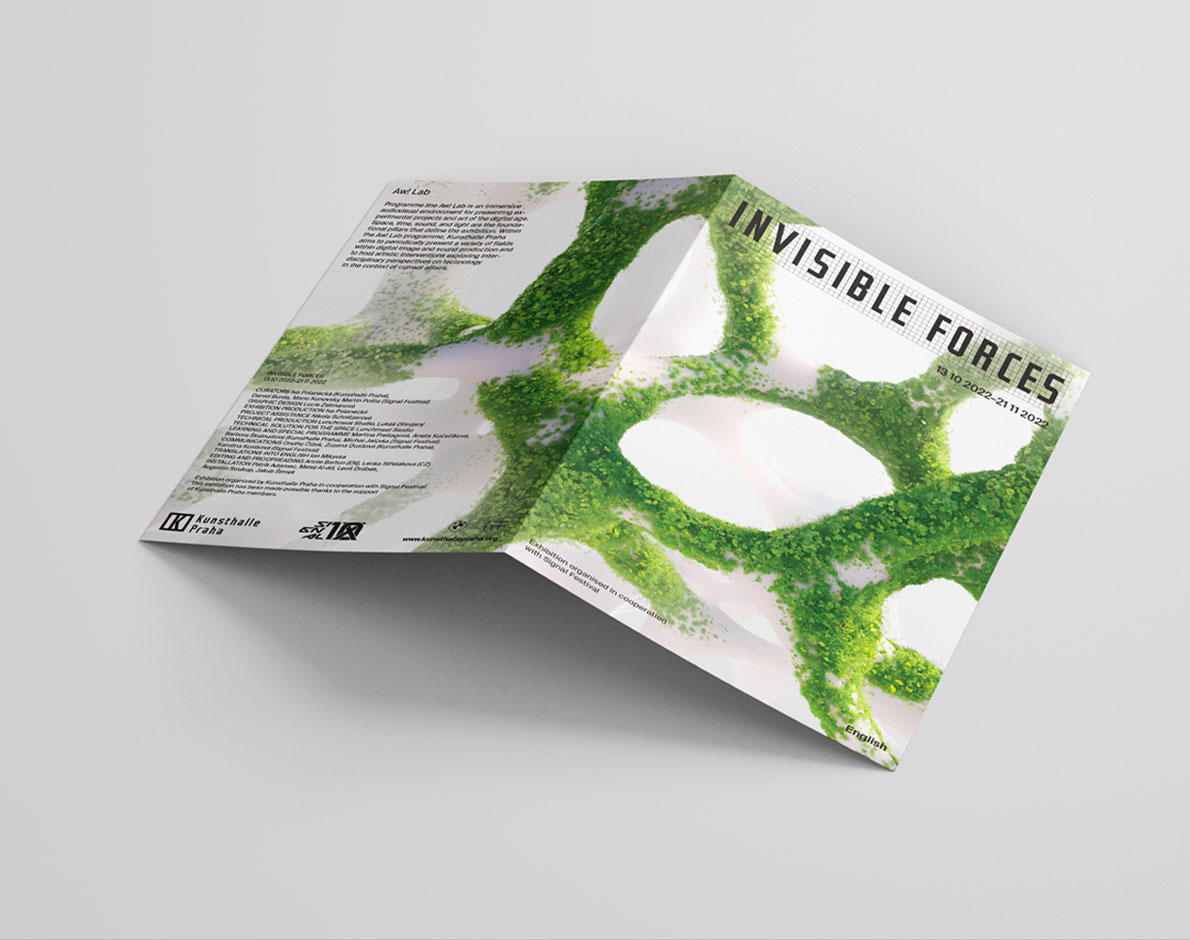 invisible exhibition poster